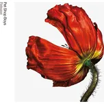 Pet Shop Boys - Release [LP]