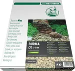 Dennerle Plantahunter Burma 12-15 mm…