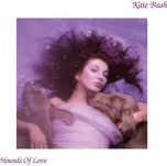 Hounds Of Love - Kate Bush [LP]