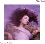 Hounds Of Love - Kate Bush [LP]