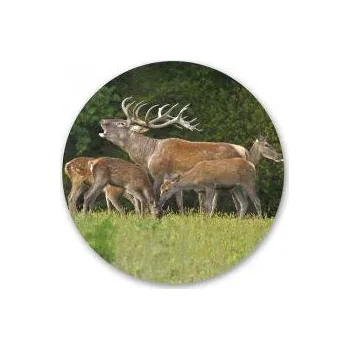 e‑myslivost.cz Pivní tácek s mysliveckým motivem - Motiv Jelen s laněmi