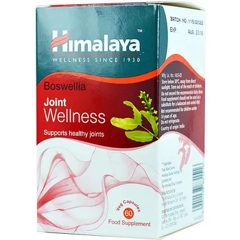 Kloubní výživa Himalaya Herbals Wellness Boswellia 60 tbl.