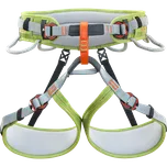 Climbing Technology Ascent Grey/Green