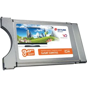 Skylink cam best sale