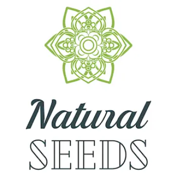 Semeno Natural Seeds Chocolope (Feminizovaná semena Chocolope)
