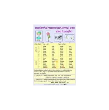 Český jazyk Nástěnný výukový obraz - Skloňování vzorů podstatných jmen rodu ženského -