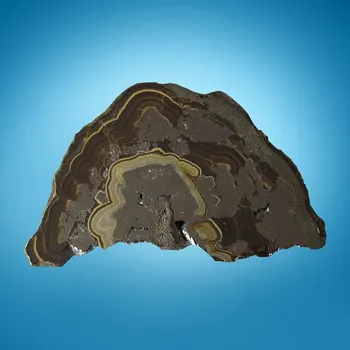 Sfalerit, Galenit, Wurzit, Markazit z Polska 88X55mm