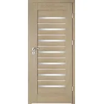 INTENSO interiérové dveře INTENSO LION STEEL W-5