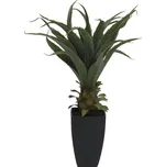 Europalms Agave plant with pot 75 cm