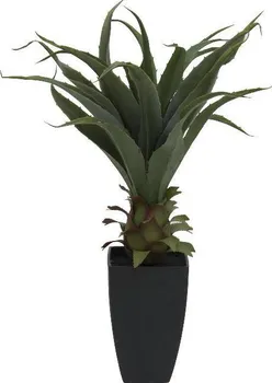 umělá květina Europalms Agave plant with pot 75 cm