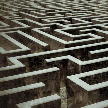 Dimex L-505 220 x 220 cm Fototapeta Dimex L-505 220 x 220 cm