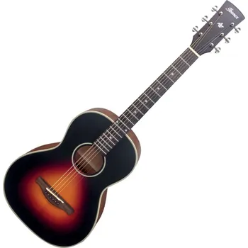 Akustická kytara Recenze Ibanez AN60-BSM Brown Sunburst Matt