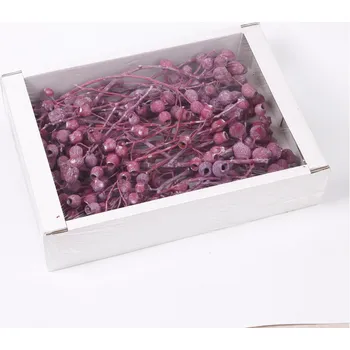 Zahradní dekorace SU Bellgums na Stonku Frosted Erica 50ks (0664979968749)