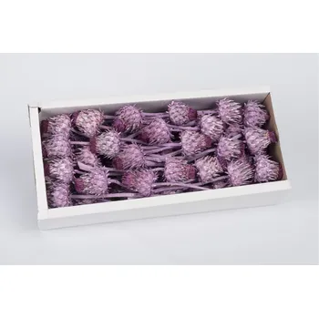 Zahradní dekorace SU Cynara Flower Frosted Brombeer 50ks (0664979968978)