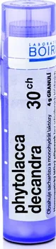 Homeopatikum Boiron Phytolacca Decandra 30CH 4 g