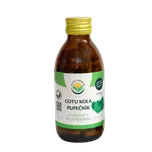 Salvia Paradise Gotu kola pupečník…