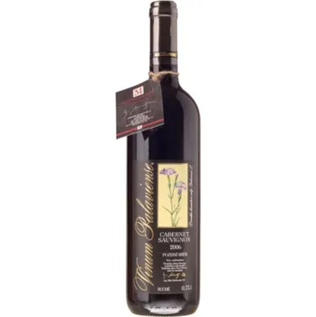 Víno Cabernet Sauvignon, Vinselekt - Michlovský (2006)