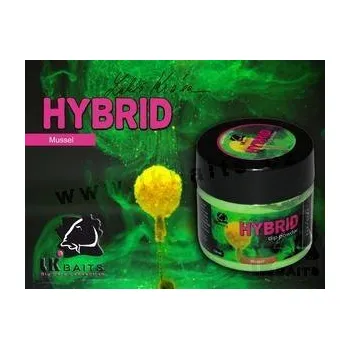 Návnadové aroma LK Baits Hybrid Dip Powdered Mussel 40gr