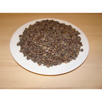 Krmivo pro ptáka Manitoba Cedr 1 kg