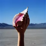 Wonderful Wonderful - The Killers [LP]