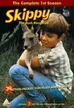 DVD Skippy the Bush Kangaroo - Season 1…