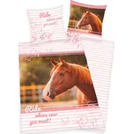 Herding Kůň Ride 140 x 200, 70 x 90 cm