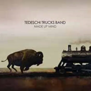 Zahraniční hudba Made Up Mind - Tedeschi Trucks Band [2LP]