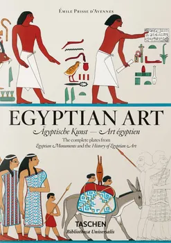 Cizojazyčná kniha Egyptian Art - Salima Ikram (EN)