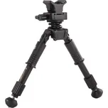 Vanguard Equalizer 1QS