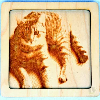 Žertovný předmět Dřevěný gravírovaný obrázek malý-kočka mouratá