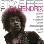 Stone Free: A Tribute To Jimi Hendrix -…