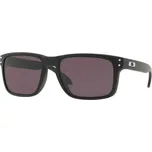 Oakley Holbrook