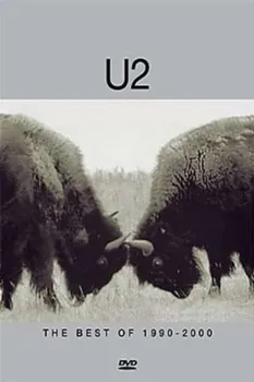 Zahraniční hudba The Best Of 1990-2000 - U2 [DVD]