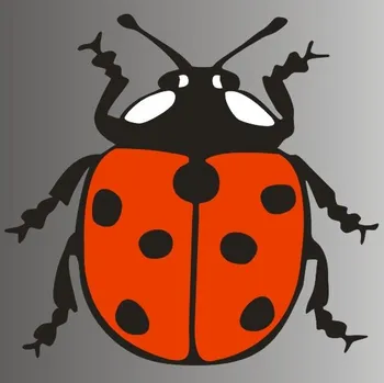 Samolepicí dekorace na vozidlo Dino Samolepka na auto s motivem berušky (35 x 32 mm)