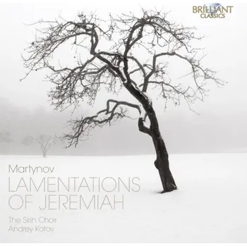 Zahraniční hudba VLADIMIR MARTYNOV Lamentations Of Jeremiah (CD) (BRILLIANT CLASSICS)