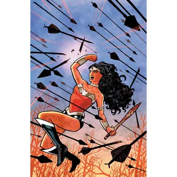 Absolute Wonder Woman - Brian Azzarello…