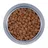 Royal Canin Mini Puppy