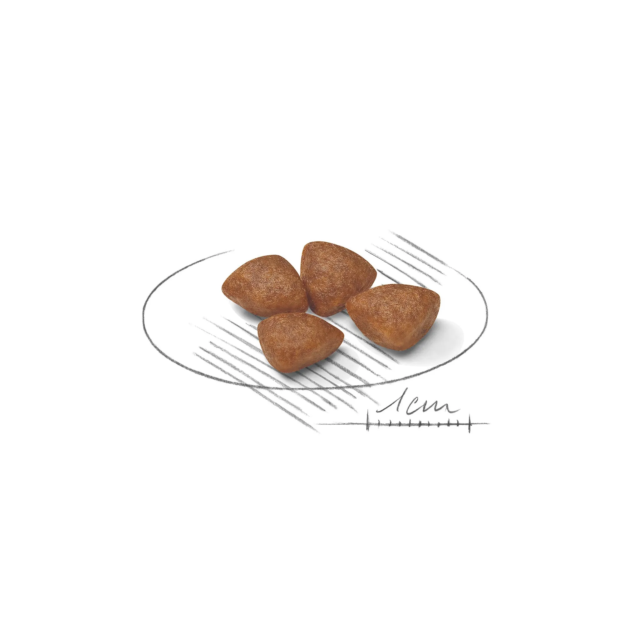 Fotografie 2 - Krmivo pro psa Royal Canin Mini Starter 1 kg