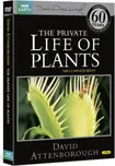 DVD Private Life Of Plants (2012)
