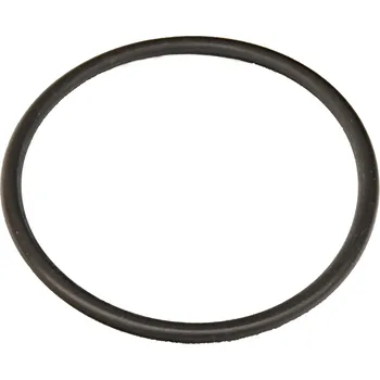 Bazénová filtrace Těsnění přip. šroubení pumpy karpa