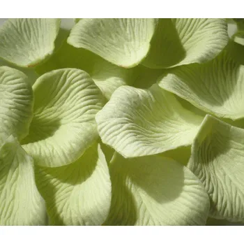 Party dekorace Okvětní plátky růží - pistáciové 100 ks