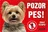 JUKO petfood Pozor pes! Zákaz vstupu!, jorkšírský teriér