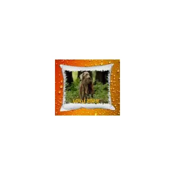 Dekorativní polštářek Foto Povlak na polštářek pro myslivce 23