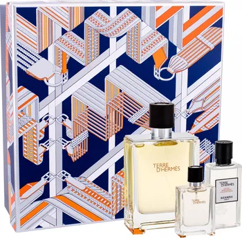 Pánský parfém Hermès Terre d'Hermès M EDT