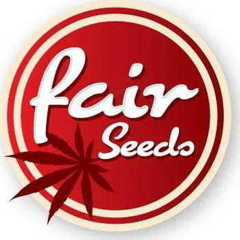 Semeno Fair seeds Auto Magnum Plus Počet ks Feminizované: 5