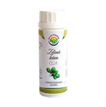 Salvia Paradise Zelená Zrnková káva - CGA standardizovaný extrakt kapsle 80 ks