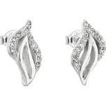 Evolution Group 11067.1