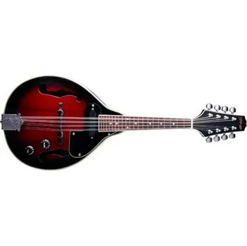 Strunný nástroj Stagg Stagg M50 E, mandolína se snímačem