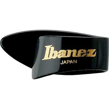 Strunný nástroj Ibanez CE22M