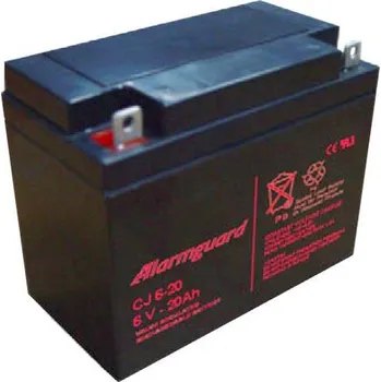 Záložní baterie ALARMGUARD CJ6-20 6V 20Ah